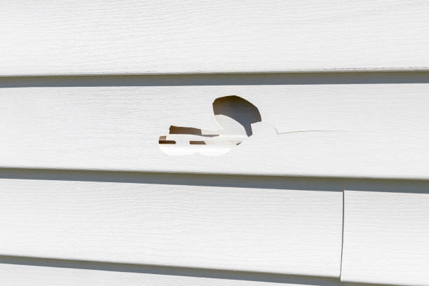 Best Siding Removal and Disposal  in Okauchee Lake, WI