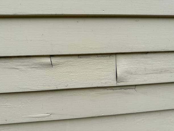 Affordable siding repair and maintenance services in Okauchee Lake, WI